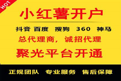 成功运用SEM服务实现品牌快速成长的案例